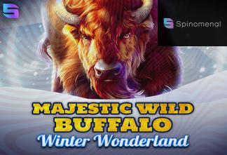 Majestic Wild Buffalo - Winter Wonderland